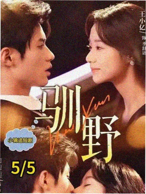 云盘影视标本 夜班电台 都市剧集封面